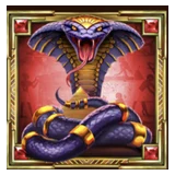 Cobra